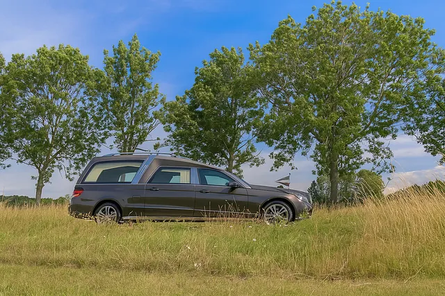 Donkergrijze rouwauto geparkeerd in een groen veld met bomen op de achtergrond, onder een heldere blauwe lucht