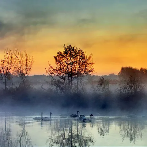24/7 bereikbaar – neem contact op met Wilger Uitvaartbegeleiding